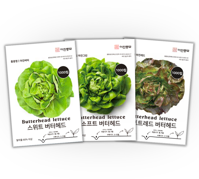 주주씨앗 버터헤드 상추 씨앗 3종세트 / 샐러드용 고급 유럽상추 종자 봄 가을 파종 채소씨앗, 1개