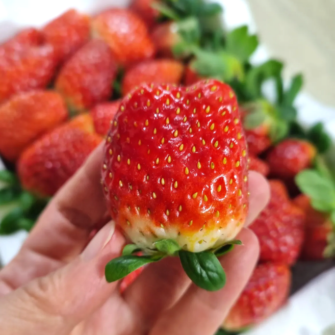 [초특가할인] 딸기 설향 홍희 딸기 못난이딸기 가정용딸기, 1박스, 못난이 딸기 1kg