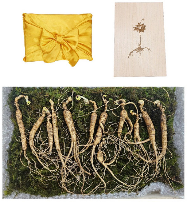 국내산 7~8년근 [12뿌리] 유기농인증 면역강화 산삼 고급 명절선물 박달산양산삼, 1개, 5g