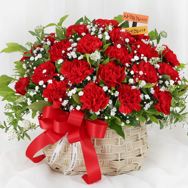 (오늘도착) 어버이날 카네이션 꽃바구니 레드카네이션 안개꽃 생화 부모님선물 어버이날선물 카네이션꽃바구니 효도선물 당일꽃배달 [ST-A2075], 1개, A2075