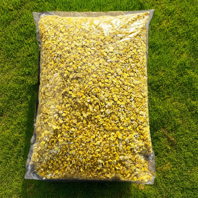 청운 대용량 황금보리 압맥1.5kg 벌크용 감성돔 밑밥 카고 원투 집어제 첨가제, 대용량 황금압맥 1.5kg, 1.5kg, 1개