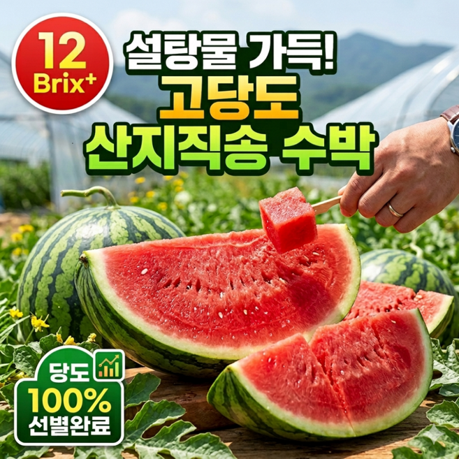 [산지직송특품] 프리미엄 하우스 고당도 수박, 1개, 꿀수박4-5kg