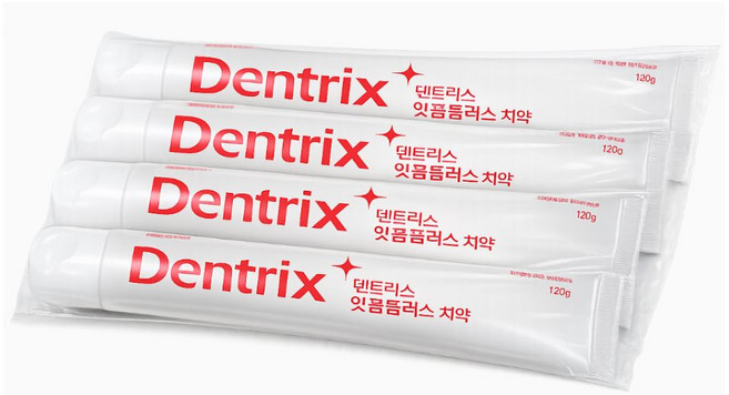 동국제약 덴트릭스 잇몸플러스 치약 I, 5개, 160g