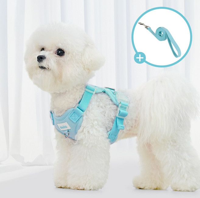 왈츠 하네스 + 리드줄세트 앞섬방지 H형, 스카이블루, 1개