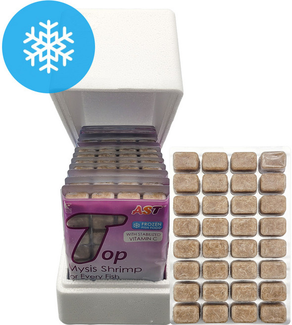 깨끗한 AST 마이시스쉬림프 1팩 2팩 6팩 12팩(1박스) 냉동곤쟁이 대형 드라이아이스 포장 아스트로무역 곤쟁이목 해마 해수 담수 관상어 열대어 사료 먹이 밥, 6개, 1g