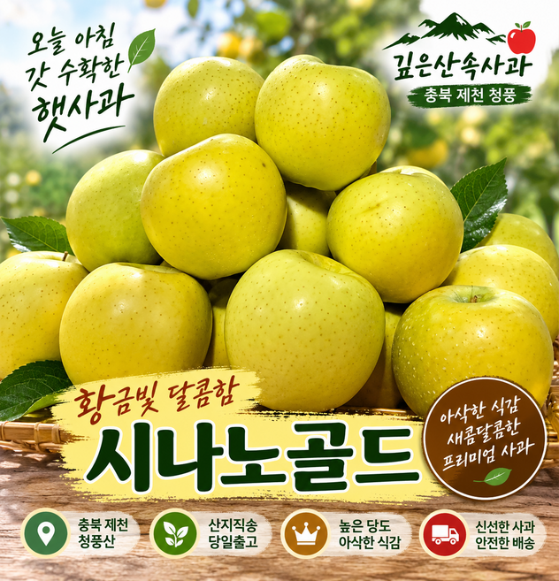 시나노골드 횡금사과 산지직송 제천 청풍 햇사과, 1박스, 8kg50과~ 60과