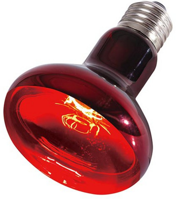 Repti ZOO 全天候紅外線加熱燈, 1個, 100w