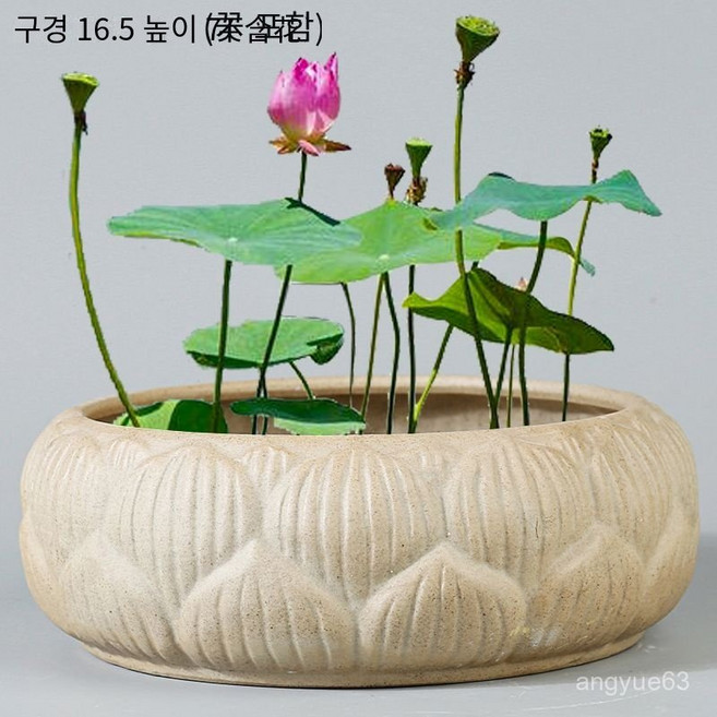 연꽃 수반 도자기 실내 연못 정원 발코니 거실, 대형 연꽃 화분