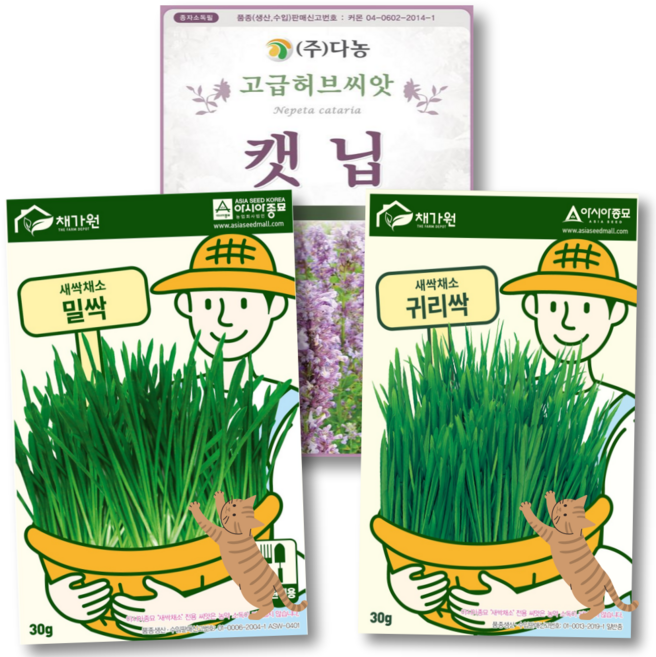캣글라스 3종 캣닢씨앗 밀싹씨앗 귀리씨앗, 1개