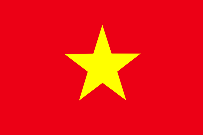 베트남 깃발 게양용 응원용 세계국기 Vietnam Flag, 135x90cm, 1개