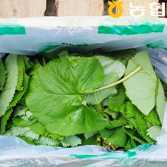 강원도 인제 기린농협 믿음곰취나물(곤달비) 1kg (절임소스 미포함), 1박스