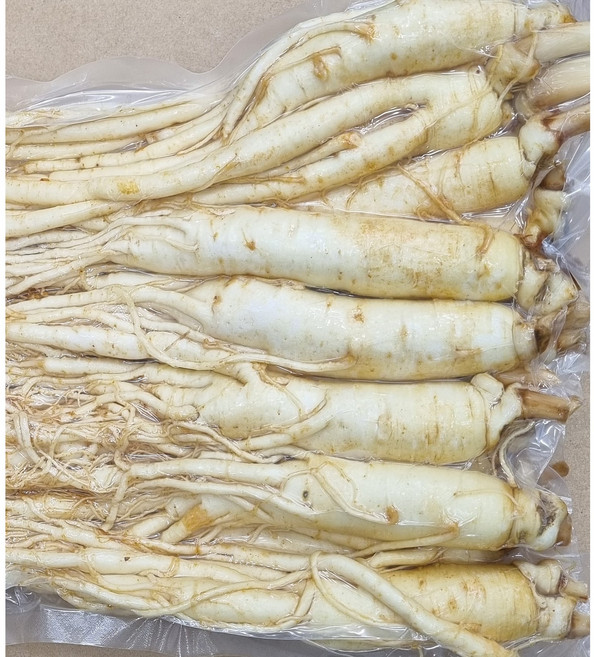 6년근 햇 인삼 1kg(12뿌리)/750g/500g(황수삼) 무료세척산지직송 현대만석인삼사, 1kg, 11세트