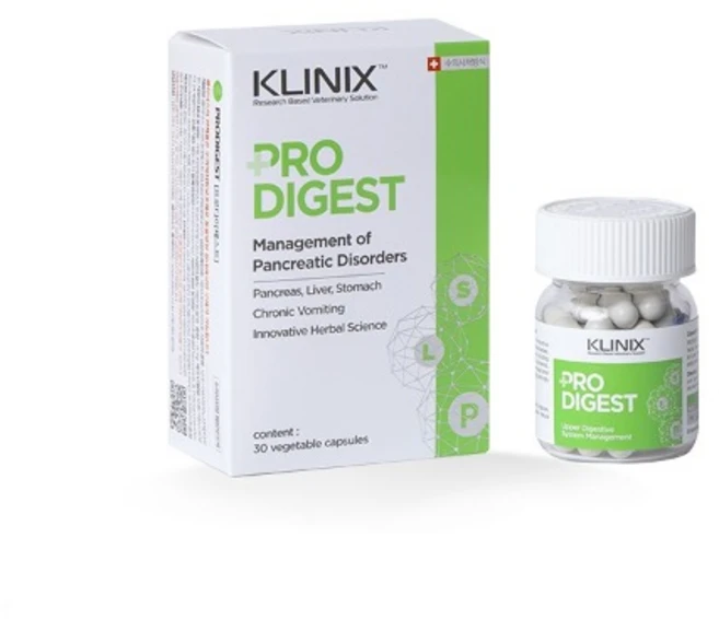 클리닉스 프로다이제스트 췌장효소 보조제 30캡슐, 1개 - 쿠팡