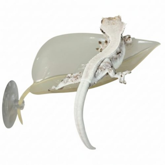 미니포레 나뭇잎 백업 크레 용품 도마뱀 사육장 꾸미기, 1개, 라이트베이지