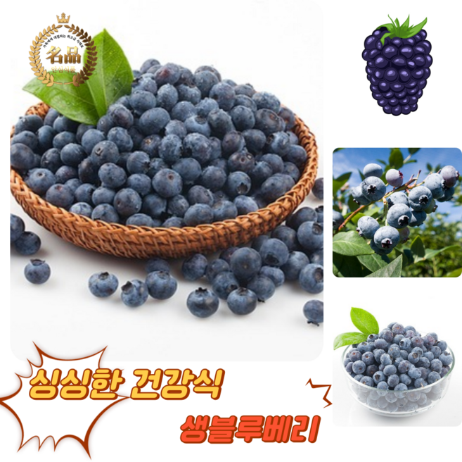 [굿피플] 생블루베리 수입블루베리 블루베리생과, 1세트, 블루베리250g (125gX2팩)