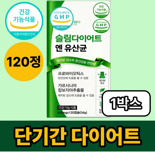 중년 뱃살 다이어트 유산균 체지방 감소 보조제 /12개구매시 리셋90 다이어트 정품 증정, 1박스, 120정
