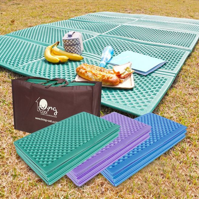 1+1 리빙코디 국내산 2단 접이식 캠핑매트나들이 피크닉 가방포함, 블루 2개