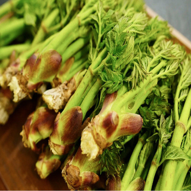 [신선도100%] 당일수확 국내산 아삭쫄깃 참두릅, 1개, 300g