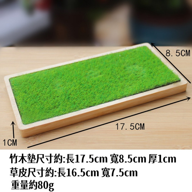 微景觀人造草皮苔蘚 仿真草皮多肉造景草地苔蘚拍攝攝影裝飾, 1個, 【D】長方形含木底座