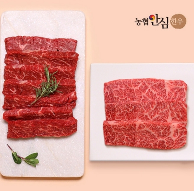 [농협안심한우][냉장] 1++ 고급 특수부위구이 체험팩 400g (살치+치마/갈비/부채), 없음, 없음