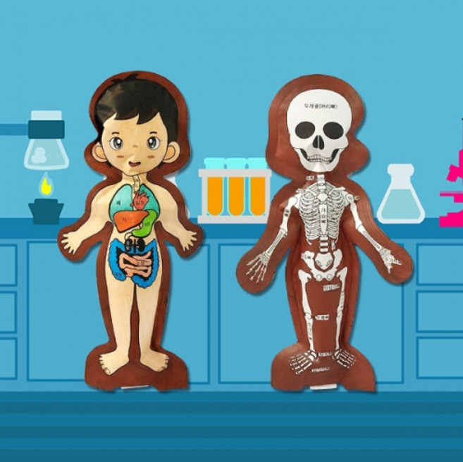 컬러룬 인체 [10인] 입체풍선 색칠놀이 학습 재료, 1개