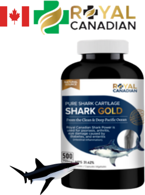 로얄 캐네디언 상어연골 샤크 골드 쪼인트 500 캡슐 8개월분 캐나다 사은품, 500정, 1개