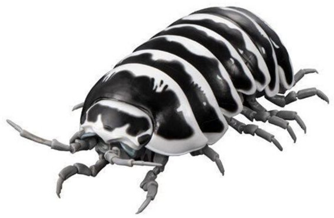 공벌레 피규어 쥐며느리 도감 곤충 생물 단고무시 가챠, 제브라, 새 제품 원공장 플라스틱 밀봉 케이스 없음, 내부 자석 장착