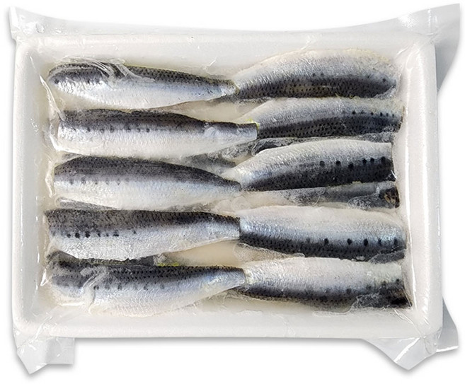 이와시 정어리 초절임 필렛 스시네타, 1개, 200g