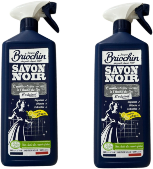 브리오신 블랙솝 사봉 느와르 다목적세정제, 750ml, 2개