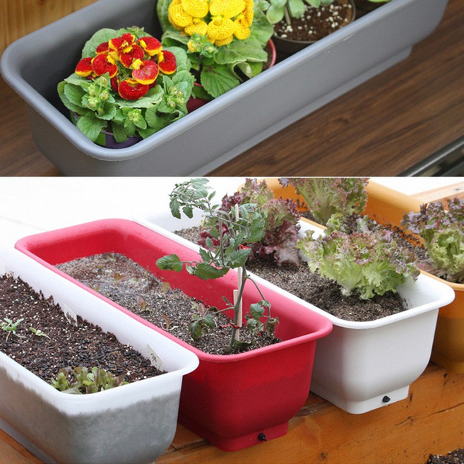 담따 플라스틱 텃밭화분 하우스팜 미니, 옐로우, 1개