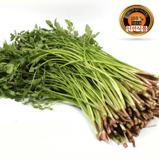 기찬드림 국내산 당일수확 돌미나리 미나리 1단 (800~900g), 1개, 1kg