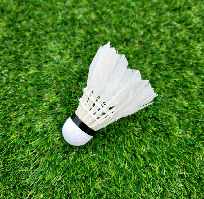 콘티A 셔틀콕 연습용 입문용 배드민턴 공 3개입, 상세페이지 참조, 1개