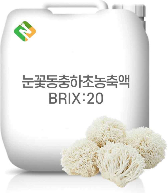 눈꽃동충하초농축액 20Brix 20kg, 1개