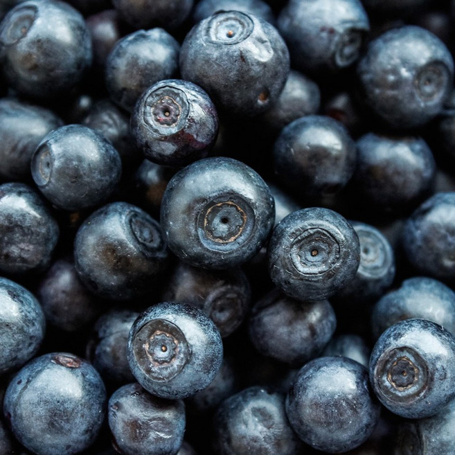 [다정한농수산] 산지직송 국내산 생 블루베리 특과 품질 보증, 1개, 14mm 100g