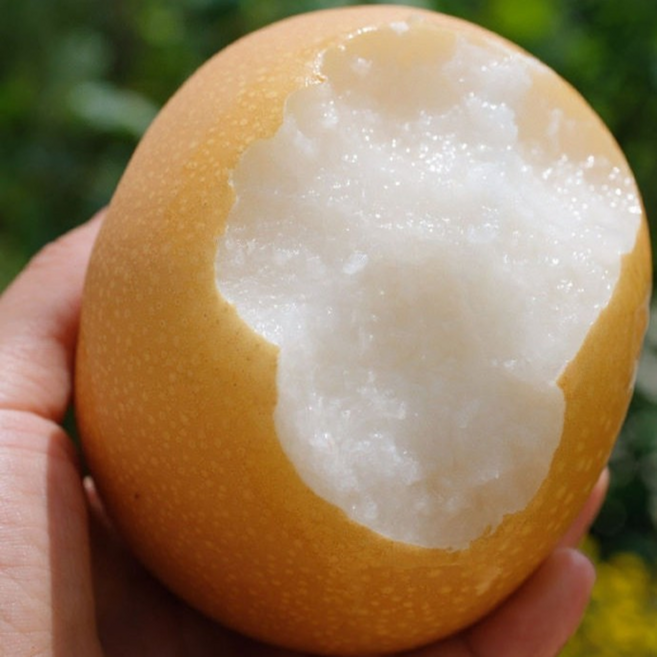 [초초특특가]달콤시원 농가엄선 아삭식감 맛풍미 나주배, 1박스, 3kg