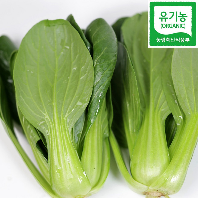 유기농 청경채 산지 직송, 1박스, 2kg