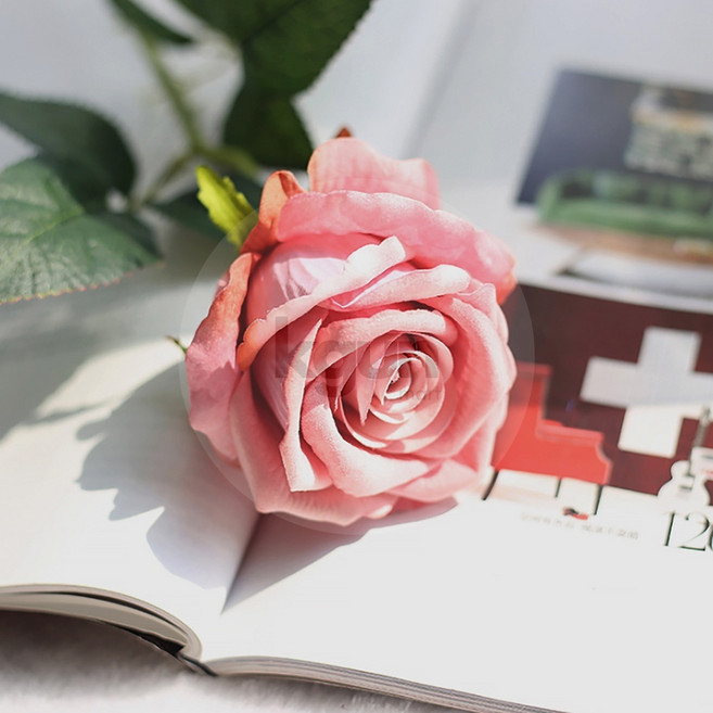 [힐링터치] 벨벳 장미 조화 프렌치스타일