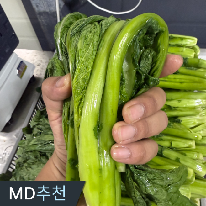 삼시세끼연구소 알싸함살아있는 여수 돌산 절임갓 갓절임 국산 김장 갓 최상품, 1박스, 5kg