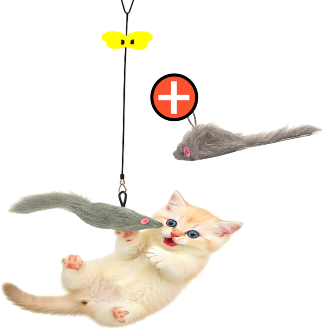 스마일플로우 난리나는 쥐돌이 문걸이 낚시대 고양이 최애 장난감, 1세트, 그레이