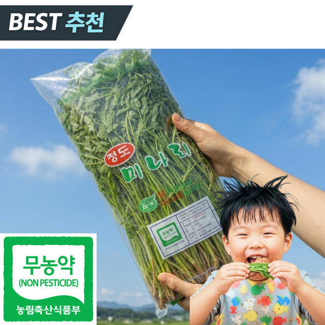 [품질보장] 무농약 청도 미나리 특품, 1kg, 1개
