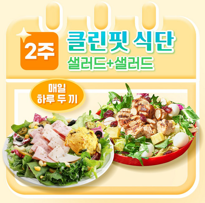 [포켓샐러드] 샐러드 2주 클린핏 식단/ 하루 두 끼 샐러드 관리 (총 24팩), 250g, 24개