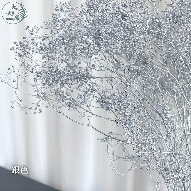 大好屋 迷你滿天星 百萬星 永生花乾燥花 花藝配花 室內裝飾, 百萬星, 銀色