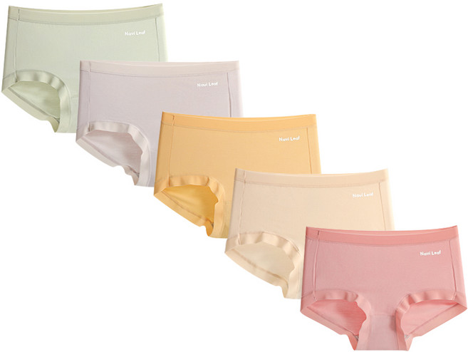 나비리프 모달 Modal 60수 고탄력 노라인 위생 여성 팬티 5종 세트