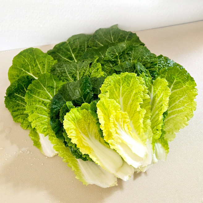 전남 진도 해풍맞고 자란 봄동, 1개, 1kg