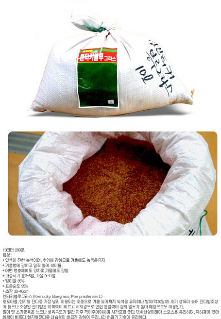 법면용 풀씨1kg/혼합종자/톨훼스큐/페리니얼라이그라스/켄터키블루그라스/급속녹화용 종자/사방공사/정원 골프장 잔디/토사방지용 야생화 씨앗/ 양잔디 씨앗/ 조경용 잔디씨앗, 톨훼스큐 1kg, 1개
