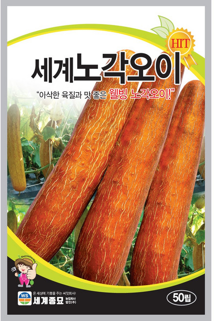노각 오이 씨앗 채소 종자 야채 채소씨 씨 50알, 3개