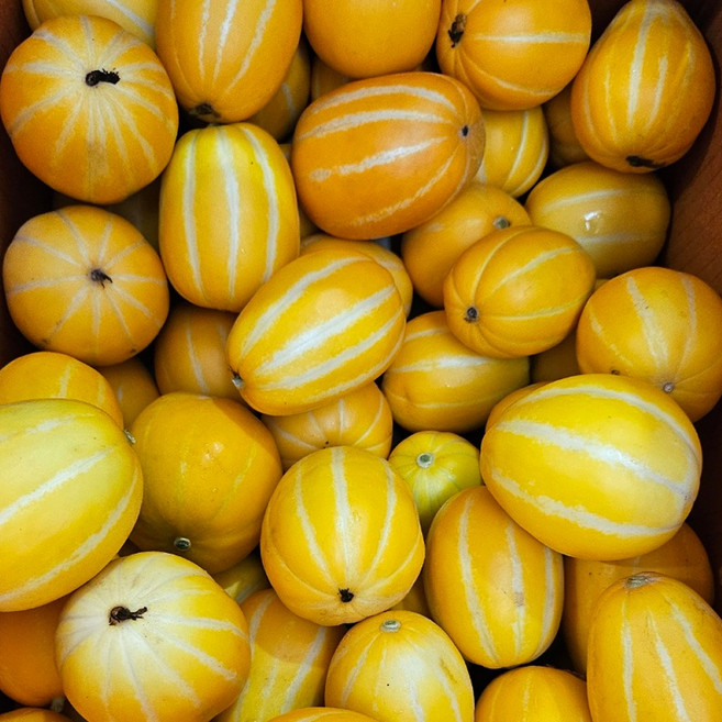 (가정용) 참외 성주 실속 참외 2kg 4kg 9kg 중량선택 / 산지직송연구소, 1개, (가정용)4kg 랜덤 또는 꼬마소과