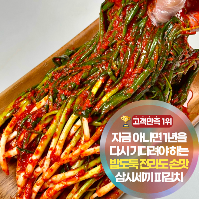 삼시세끼연구소 감칠맛깊은 최상품 전라도 여수 국산 파김치 쪽파김치, 1세트, 3kg