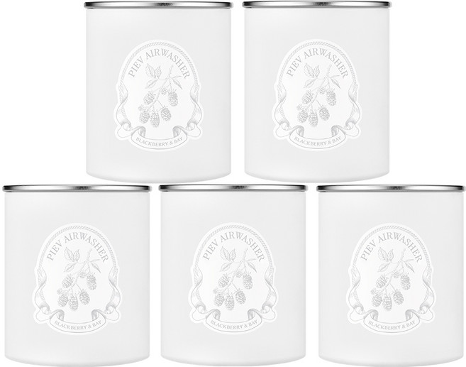 [본사공식몰] 피에브 에어워셔 고체 탈취제 냄새 제거 블랙베리&베이 향, 250g, 5개