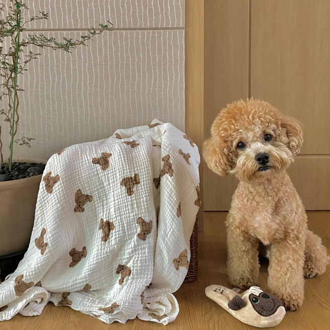 애견담요 요루거즈블랭킷 강아지이불 중형 대형, 앵두레드, 1개, 앵두레드